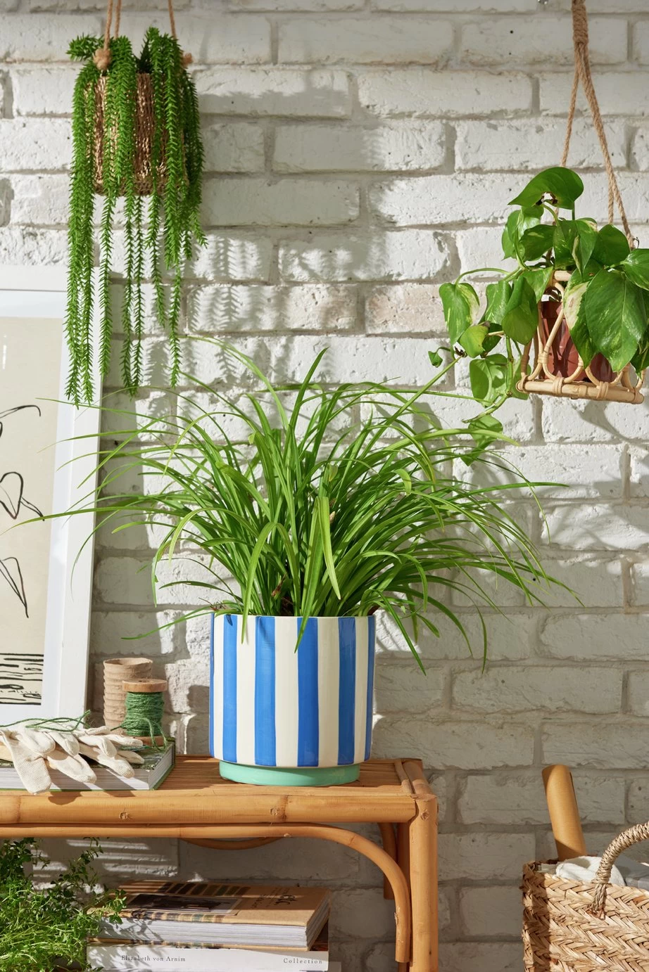 Habitat Blue Stripe Ceramic Planter - Image 2