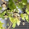 Habitat 10 Warm White Caged Bulb LED Solar String Lights